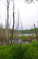 Окунёвое озеро на о.Путсаари